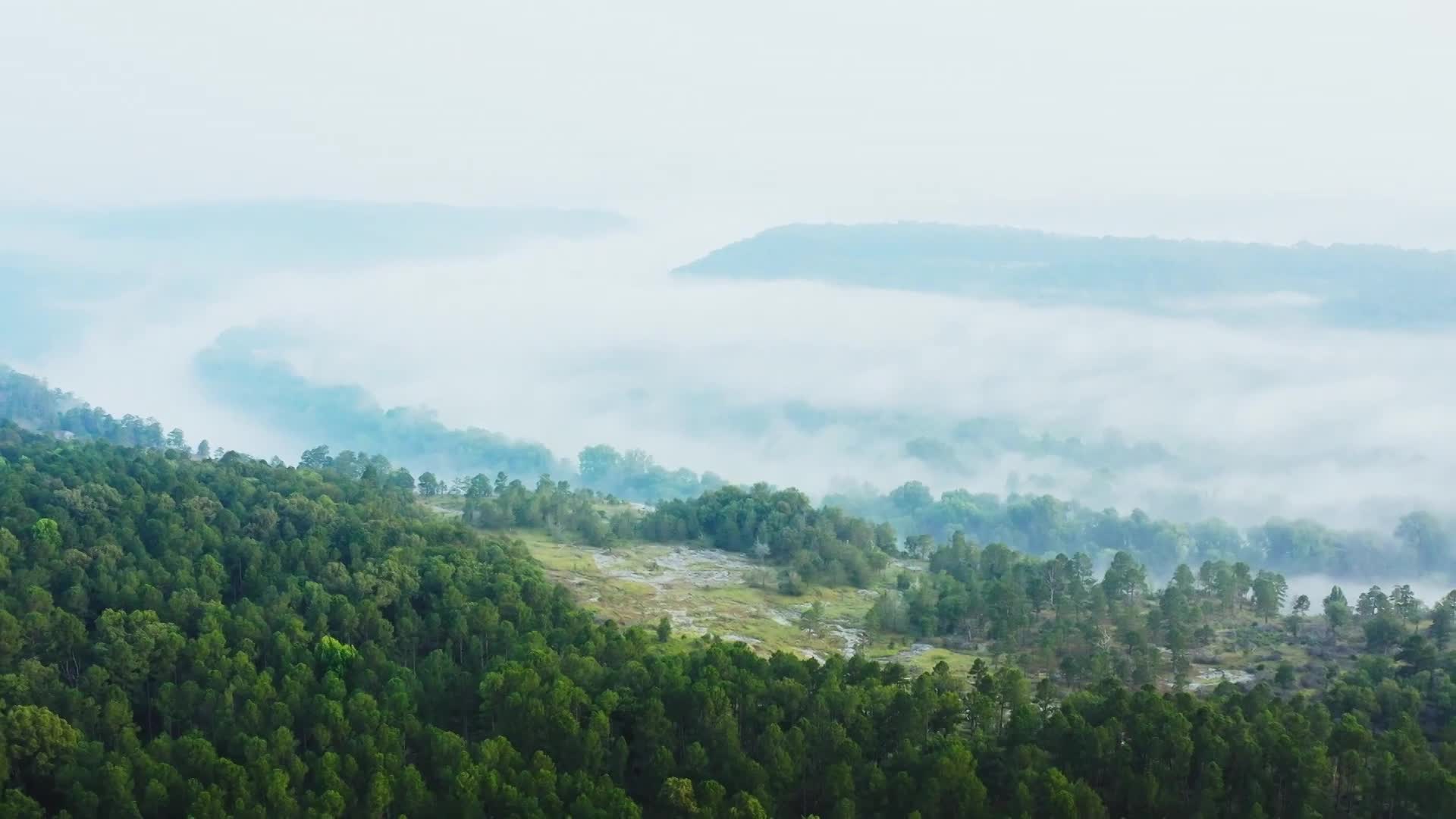 USFS-Glade Restoration on the Ozark