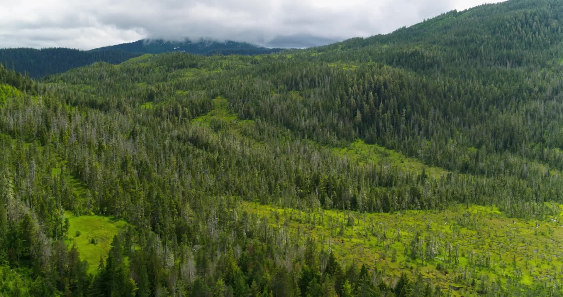 Thumbnail image for USFS-TongassNF