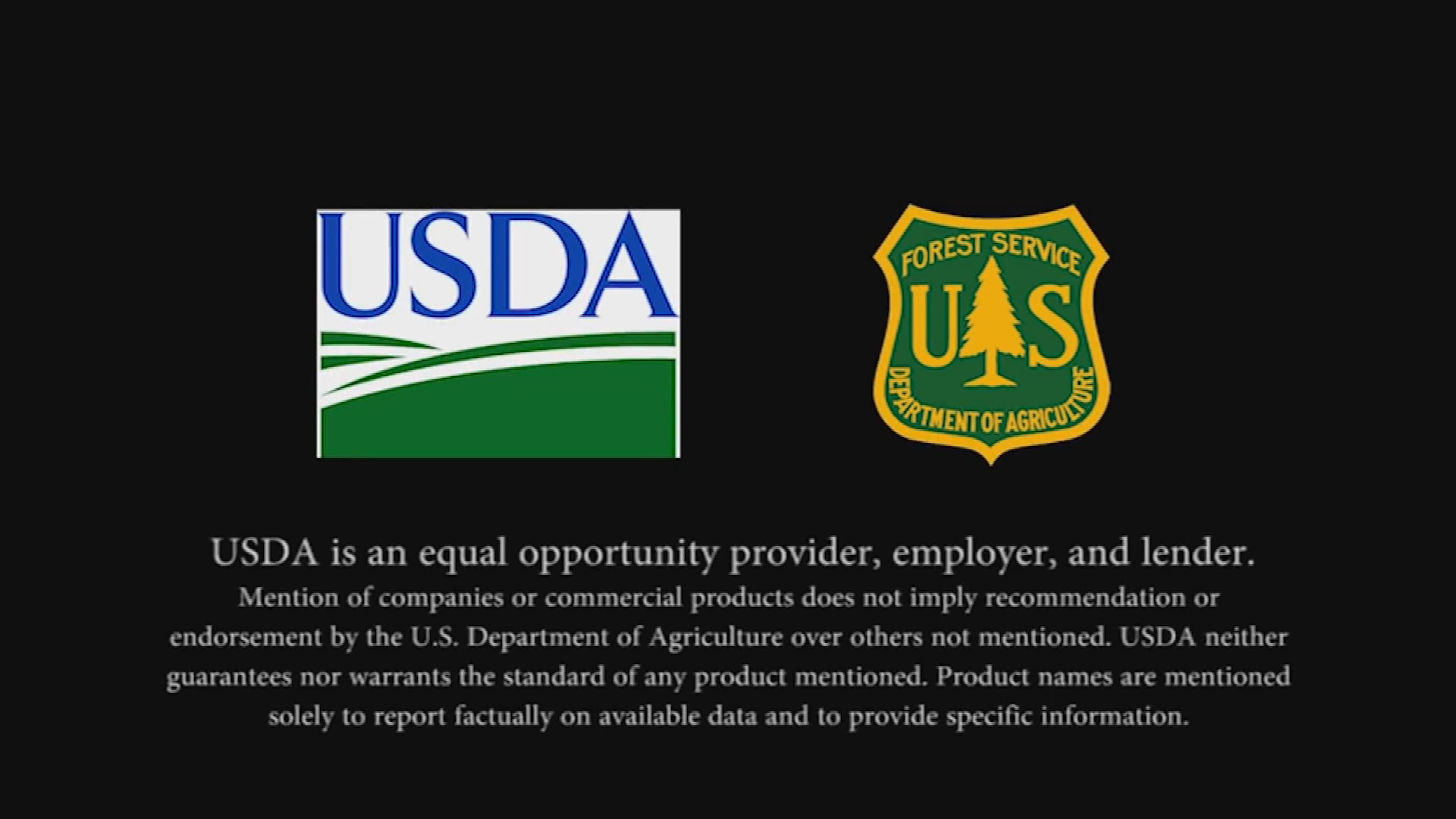 Thumbnail image for USFS: Women in Wildland Fire