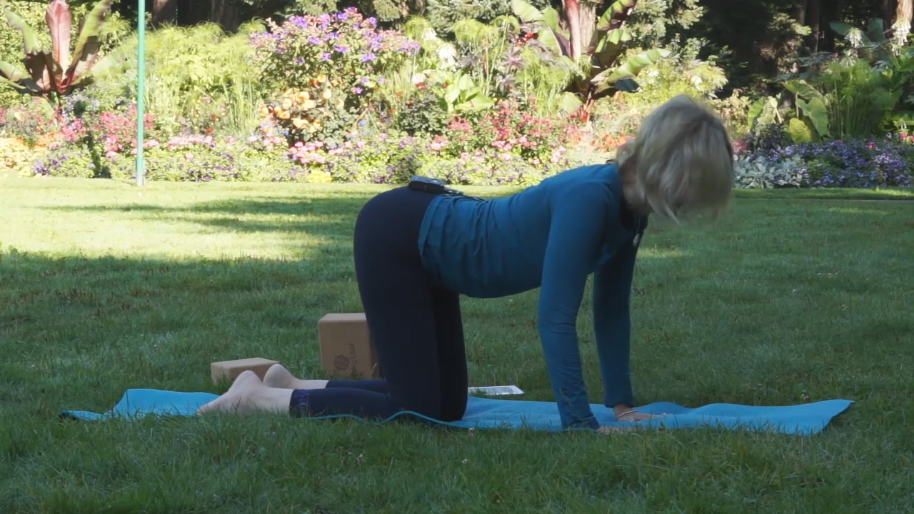 Yoga with Melissa