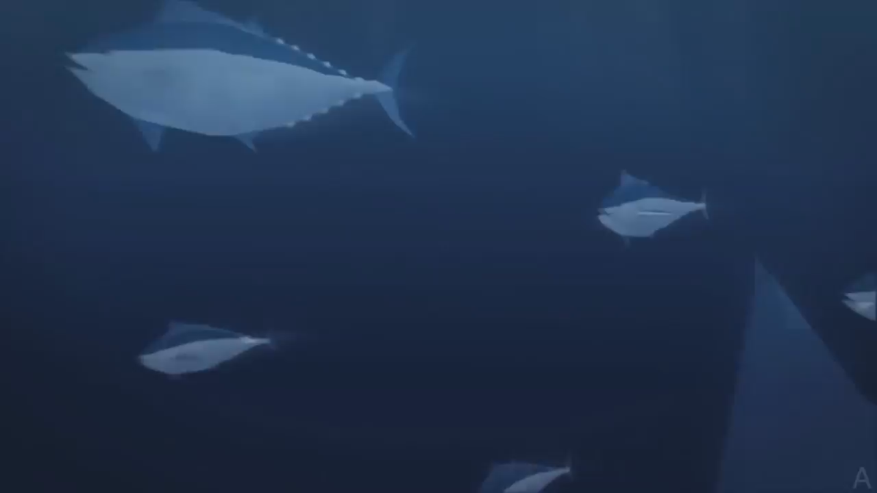Thumbnail image for UCTV: Bioeconomics of Sustainable Fisheries