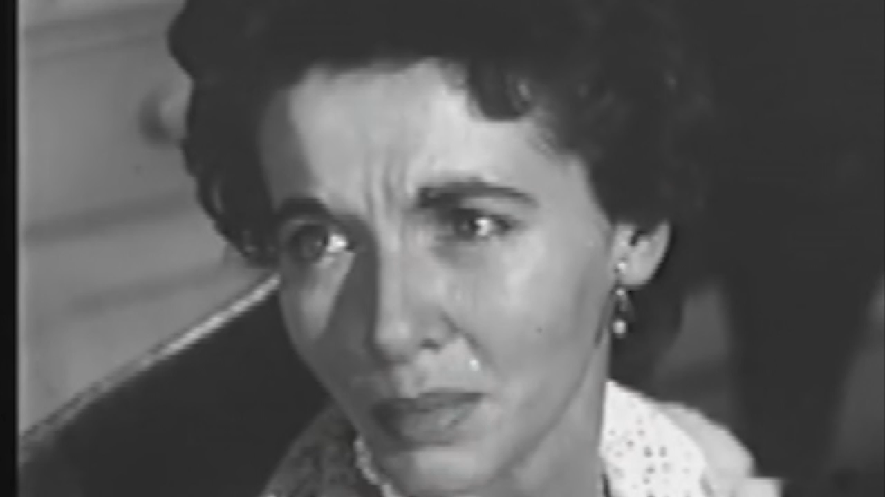 Dragnet