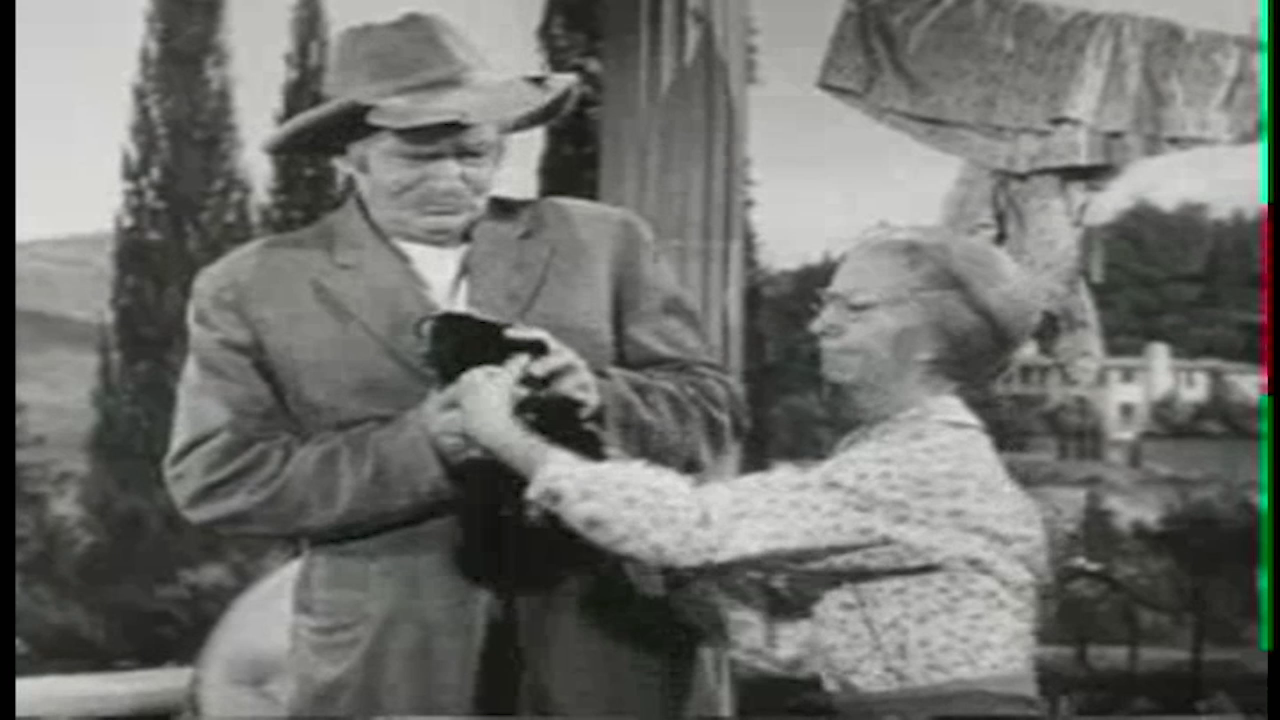 Beverly Hillbillies