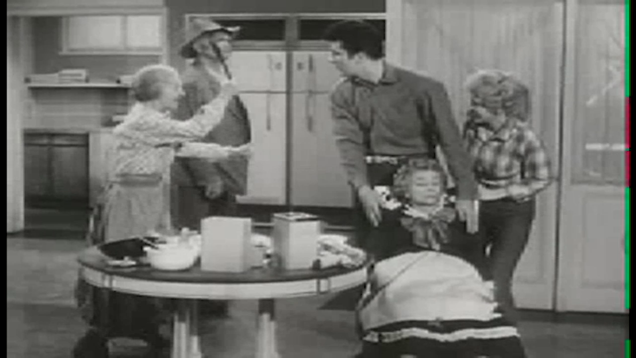 Beverly Hillbillies