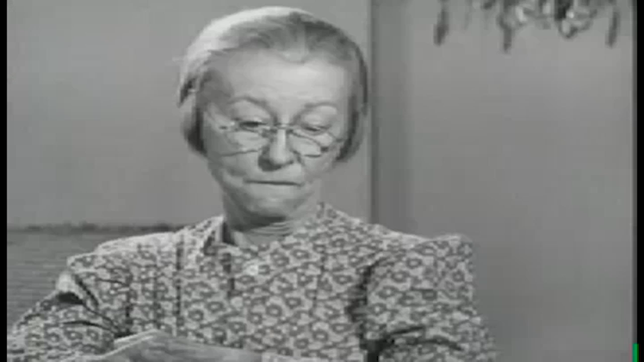 Beverly Hillbillies