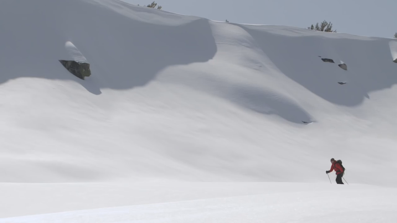 Yosemite Nature Notes: Ski Yosemite