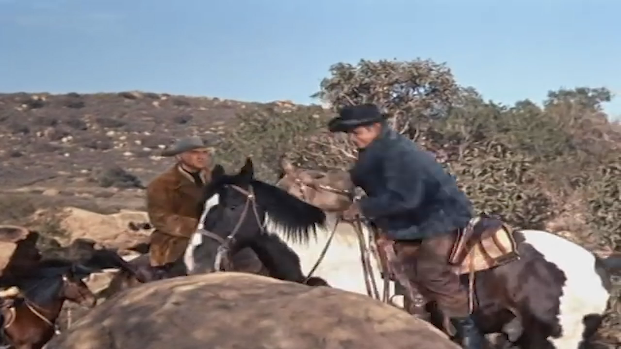 Bonanza