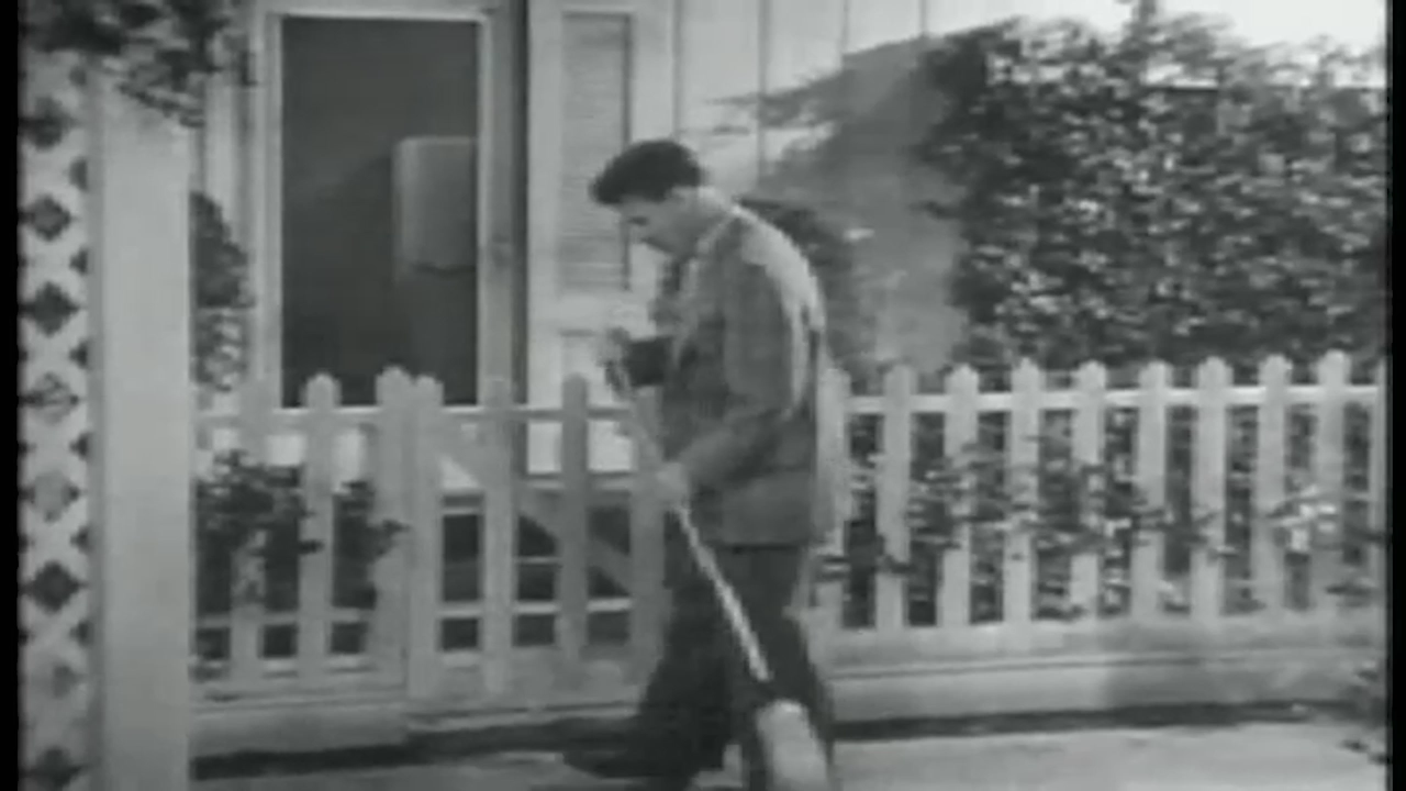 Thumbnail image for Ozzie & Harriet