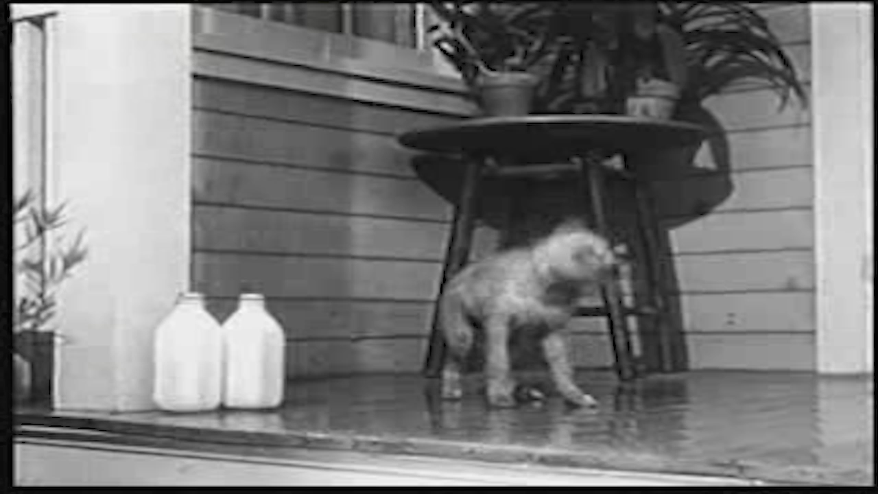 Thumbnail image for Ozzie & Harriet