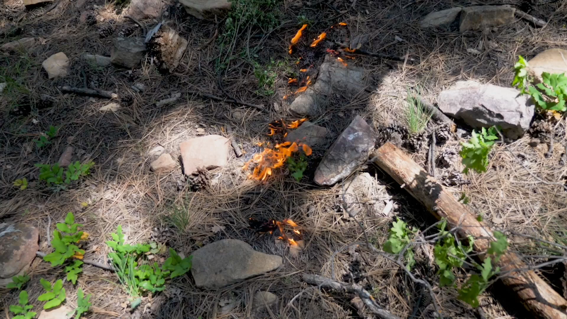 Thumbnail image for USFS-Doe Canyon A Good Fire