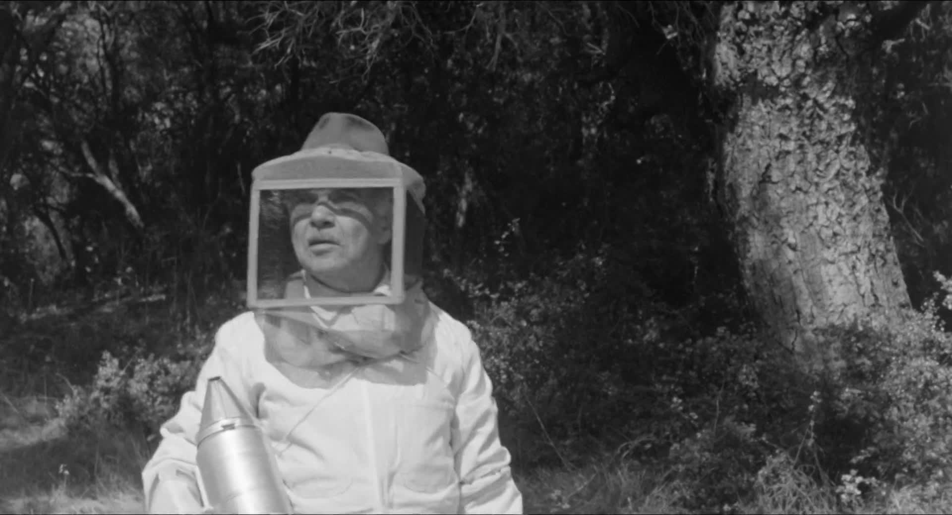 AT Classic: The Wasp Woman (1959)