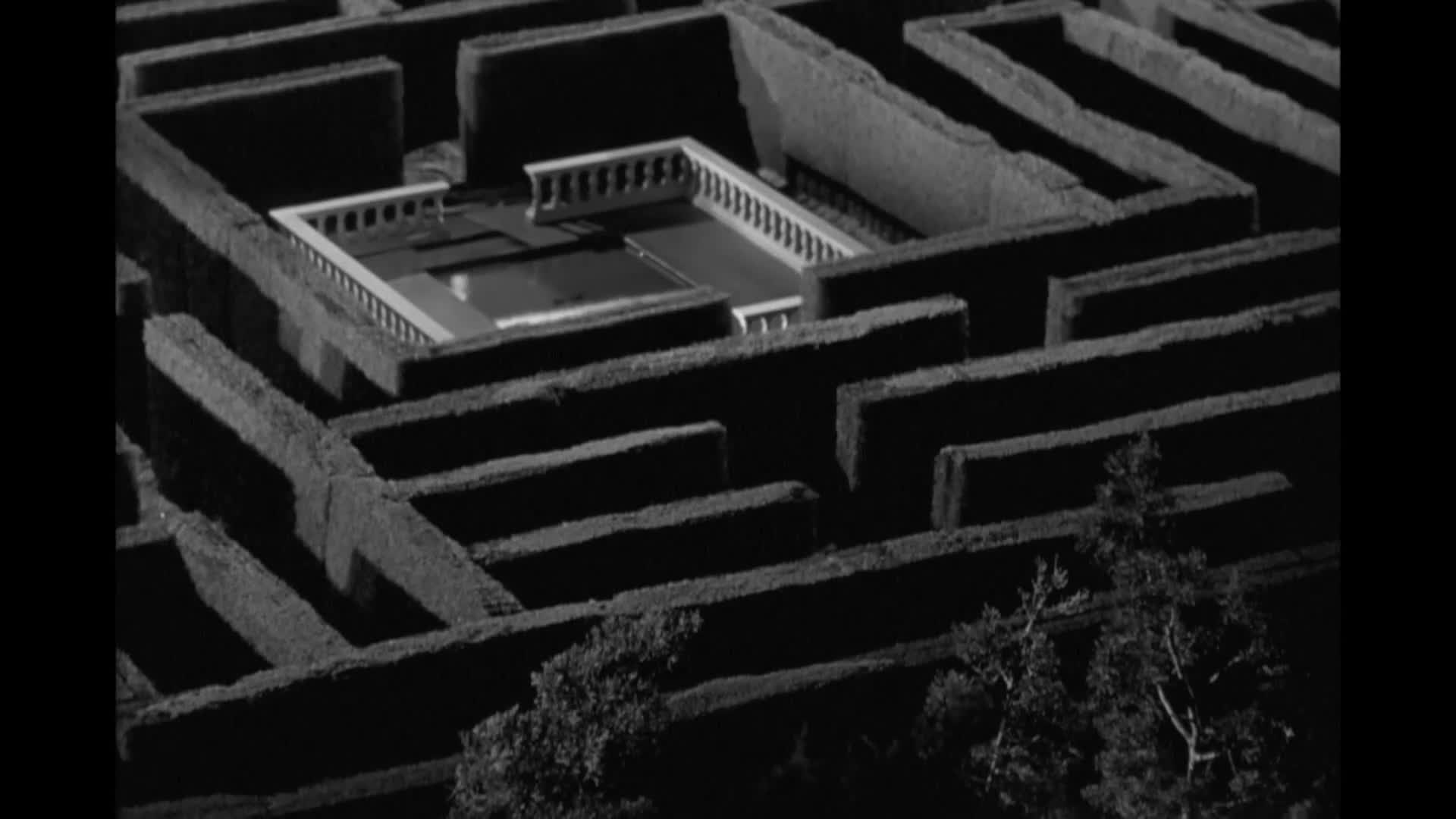 Creature Features: The Maze (1953)