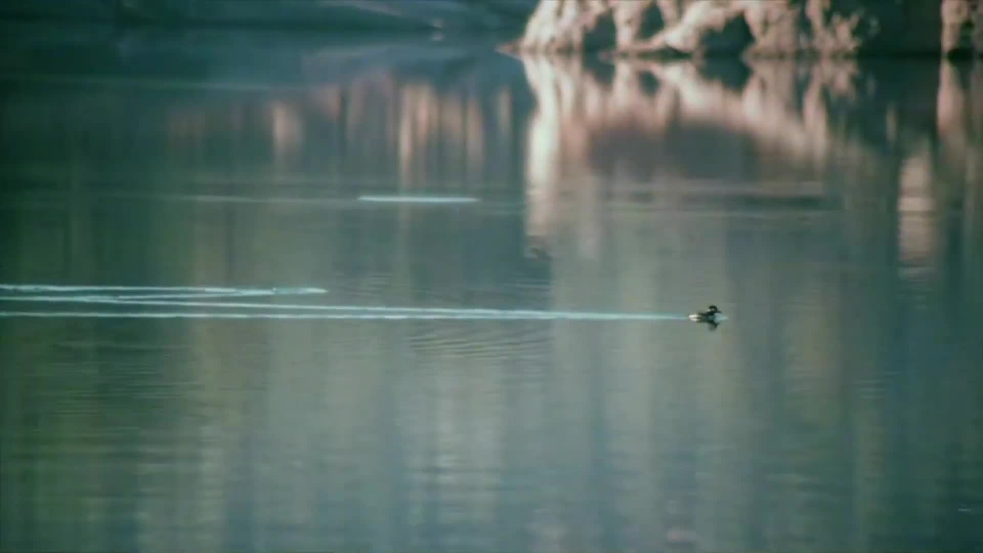 Creature Features: Wolf Lake (1980)