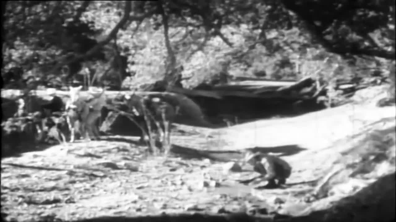 B-Western Theater: Pinto Bandit (1944)