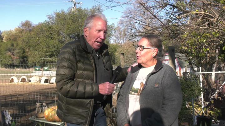 Thumbnail image for Good News: Rose Wolf Wildlife Rescue