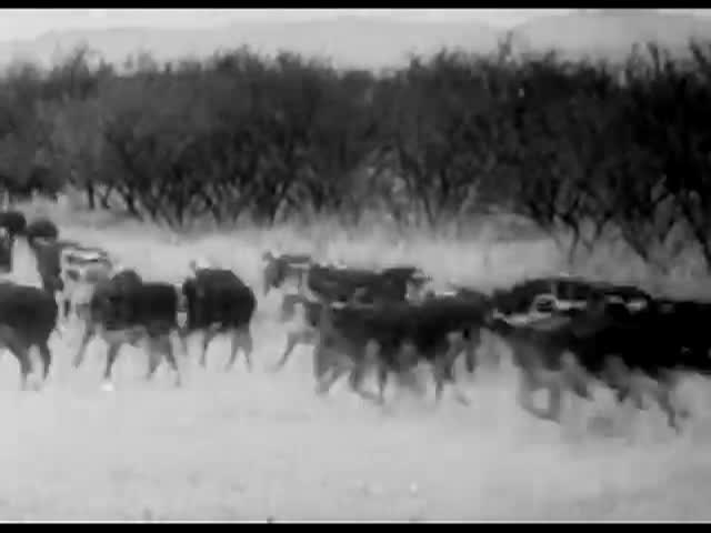 Thumbnail image for B-Western Theater: Riders Of The Sage (1939-Bob Steele)