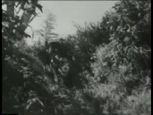 Thumbnail image for B-Western Theater: Bordertown Trail  (1944 - Sunset Carson)