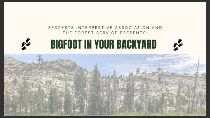 Thumbnail image for Bigfoot in Your Backyard