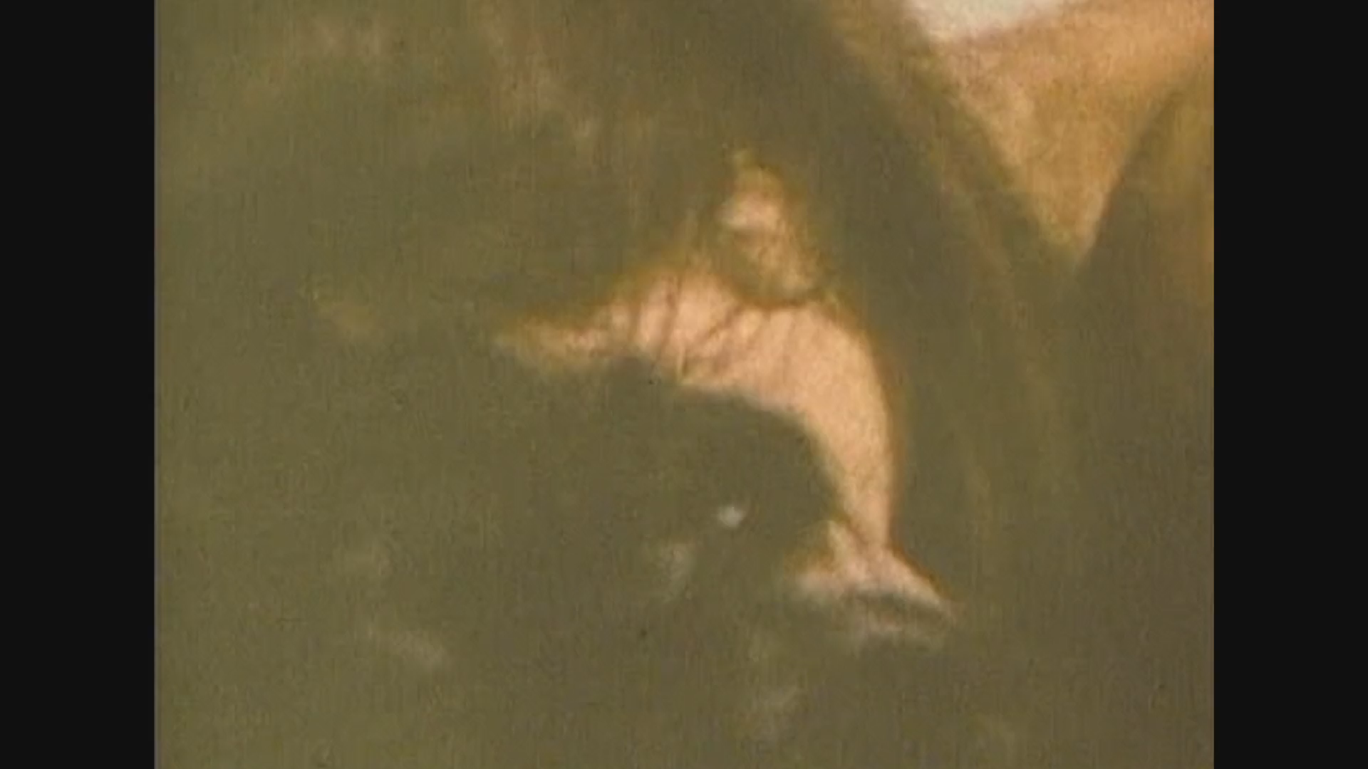 Creature Features: Lady Frankenstein