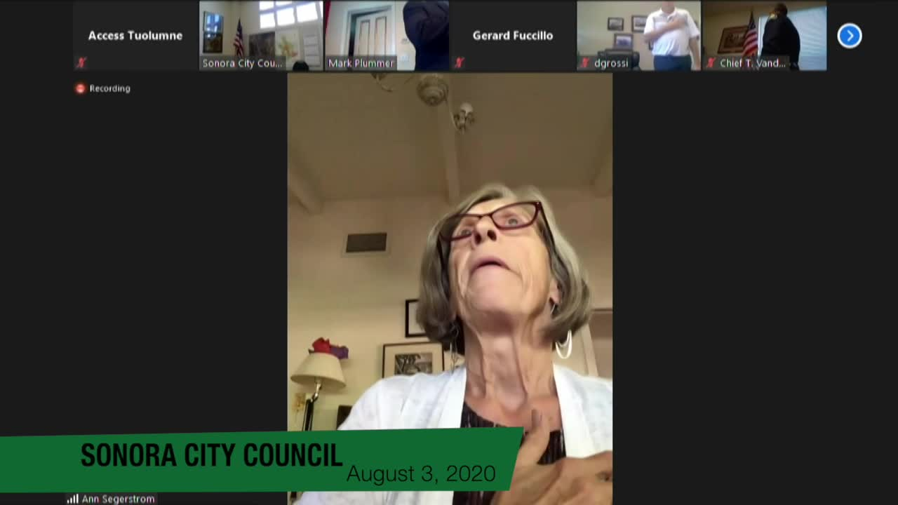 Sonora City Council - August 3, 2020