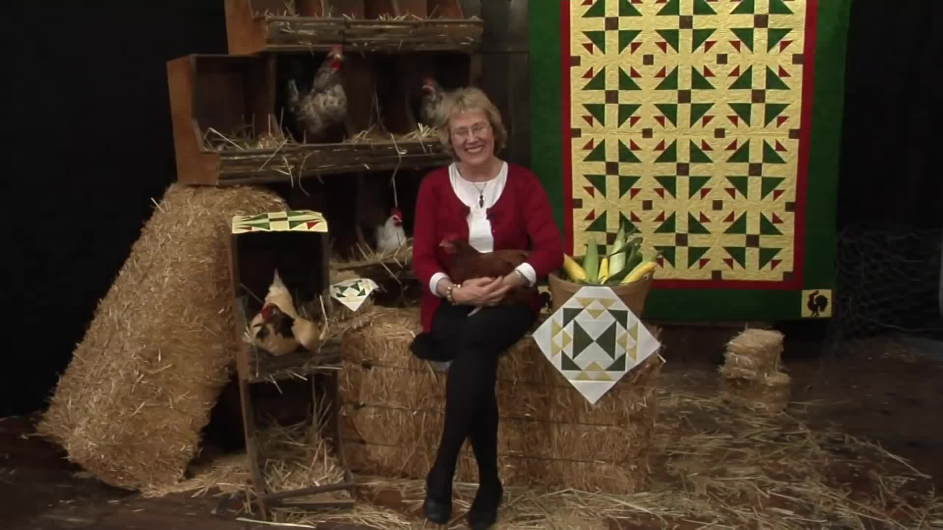 Quilt in a Day