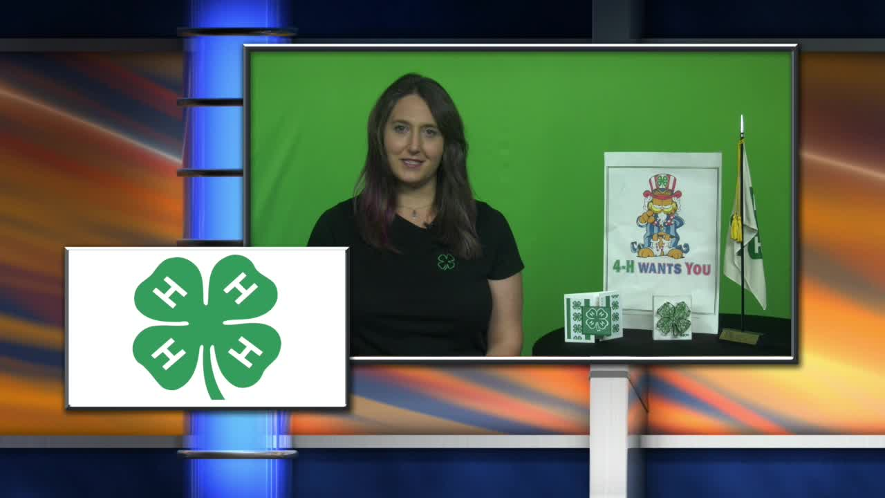 Volunteer with 4H