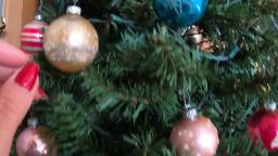 Navigate to Willow's Vintage Homestead: Glass Ornaments